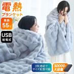 【クーポンで3980円】 電気毛布 ふわとろ 180×94cm ひざ掛け 掛け敷き 30000mAhバッテリー付き 2枚サイズ拡張 ブランケット 肩掛け USB 3段階 洗濯可