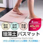 珪藻土バスマット45cm×35cm  足ふき 速乾 ドライ 吸水力 サラッと快適 防滑 洗濯不要 お手入れ簡単 薄い 清潔 軽量 お風呂 洗面台 ◇RIM-FLD-45