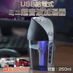 USB給電式 ミニ超音波加湿器 LEDライト付き スチーム 卓上 オフィス 車載 ミスト 小型 乾燥対策 シガーソケット シンプル ◇RIM-AK201