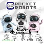 英語 しゃべる ポケットロボット お