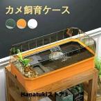 ショッピング水槽 亀 水槽 カメ飼育ケース タートルタンク カメ生息地 脱出防止フェンス 分離式 排水口 水替え便利 フン沈殿 カメ ミドリガメ ザリガニ 観察