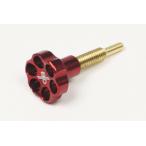 SP Takegawa идол AJ винт RD PE24/28 03-03-0012