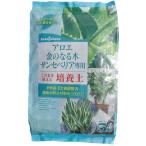  Seto штук . цветок . алоэ * золотой. становится дерево * солнечный se. задний специальный { cубстрат } 5L