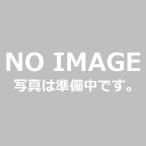 chiyodaPT патрубок металлизированный есть Rc1/4*R3/8 PL2F3MN