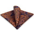 SHLAX&amp;WINGpeiz Lee узор желтый чёрный шелк pocket square мужской 