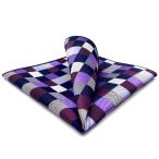 SHLAX&amp;WING проверка шелк pocket square мужской цветочный принт 32cm