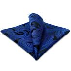 SHLAX&amp;WING синий blue .peiz Lee узор шелк pocket square мужской носовой платок супер большой 