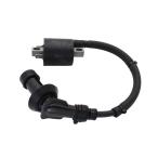  advance * Pro toli City 125 155 усиленный зажигание пружина (bru- core двигатель ) IGC-YD02