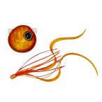 JACKALL( Jackal ) свинец тип ведро ведро шар скользящий 120g F178 красный Gold / креветка ore машина Lee T+