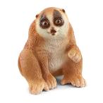 shulaihi wild жизнь slow Loris 14852