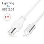 iPhone iPad MIDI кабель 1M подсветка USB модель b USB2.0-B изменение MIDI клавиатура электронный гитара цифровой фортепьяно конвертер ритм воспроизведение аранжировка грузовик макияж 