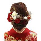 髪飾り 成人式 結婚式 和装 ダリア水引 19点セット 赤 ヘアアクセサリー ヘッドドレス