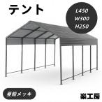 �X�`�[���Ԍ� �K���[�W L450*W300*H250cm  �J�[�|�[�g ��� �|�@��p�G�L�X�p���V�����{���g�t��
