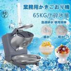 電動かき氷機 かき氷機 電動 業務用 バラ氷 かき氷器 電動かき氷器 電気砕氷機 大容量 かき氷メーカー フラッペメーカー 氷削器 氷削機 冷凍フルーツ スイーツ氷