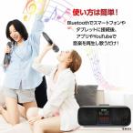 家庭用カラオケ マイク付2本き 高音質カラオケセット Bluetooth対応 USB おうち カラオケスピーカー 歌 練習 一人カラオケ デュエット
