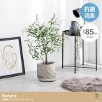 ショッピング観葉植物 人工観葉植物 インテリアグリーン リアル おしゃれ オリーブ 抗菌 消臭 緑化 癒し フェイク 光触媒 精巧 オブジェ 装飾 高さ85cm
