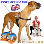 引っ張り防止 犬 ハーネス ラロック ハッピーヒールハーネス 愛犬の引っ張りを止めるトレーニングハーネス リード＆DVD付き メール便不可 ギフト包装可