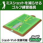 DIVOT DADDY PRO ディボットダディプロ 公式 ゴルフ練習器具 スイング ダフリ解消 ミスショットを減らす ターフ