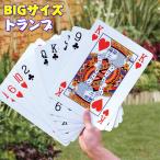  большой карты Bick A4 карты большой размер карты карты Magic карты 9 раз карты карты карты игра стол игра карты 