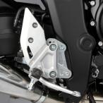 nao NPH09 POSITION KIT позиция комплект [SILVER] HONDA CB1000F/SE (25-) Quick фильтр имеется машина специальный 4 позиция 