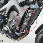  Yamaha XSR900 карбоновый боковая панель мотоцикл радиатор боковая крышка 