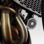 【並行輸入品】 スピードトリプル 1