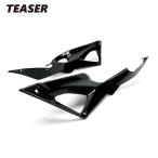 TEASER SPD02G SIDE PANEL [DRY CARBON HG] DUCATI 1098 1198 848 чай The - карбоновый боковая панель 