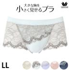 ワコールWacoal小さく見せるブ...