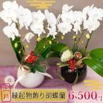 2025-2026 подарок по случаю конца года . новогоднее поздравление ограничение midi . бабочка орхидея 2 шт . товар вид случайный .. предмет . весна pick есть Новый год украшение цветок . орхидея подарок . лет .[r-nen2014_01]