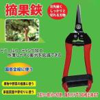 摘果鋏　てきかはさみ　園芸　果物/野菜/家庭菜園/芽切り　ビニールコーティング加工　疲労軽減　メール便送料無料