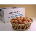 卵 鶏卵 普段使い卵160個入(特撰吟味夕映卵)