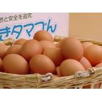 卵 鶏卵 普段使い卵80個入(特撰吟味夕映卵)