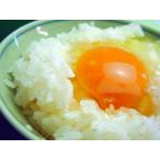  яйцо куриное яйцо безопасность яйцо обычно используя яйцо 80 штук ( Special .. тест .. яйцо )