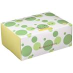 排水口水切りネット(100枚)