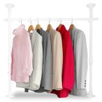 アイリスオーヤマ(IRIS OHYAMA) つっぱり棚 突っ張り棚 つっぱり棒 棚 伸縮棚 突っ張り ハンガーラック 押入れ 伸縮幅70~120