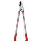 DAISHIN ラチェット式太枝切鋏 50mm 5cm 太枝切り鋏 えだ 枝 はさみ ハサミ 園芸 ガーデニング 農業 庭 農作業 家庭菜園 用