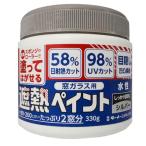  turner цвет (Turner Color) окно стекло для .. краска серебряный 330g 1 шт 