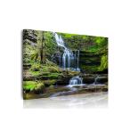 送料無料 開運画・縁起画 絵画　風景画 癒しの滝 コケ 森林 パワースポット　絵 おしゃれ 壁掛け 絵ファブリックパネル アートパネル ポスター キャンバス 絵画