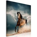 送料無料　絵画 インテリア　 馬の絵 一馬駆行く絵　アートパネルおしゃれ 壁掛け風水開運画 Airbnb　民泊　シェアハウス　装飾フォトフレーム付き 横50cm×縦50