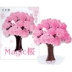 マジック桜 １２時間で咲く不思議な桜【２個までクリックポスト対応商品】