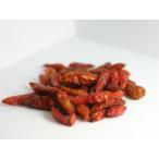 バードアイ・チリ(ホール)1kg×5