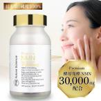 Future Science NMN サプリ 30000mg 酵母発酵 国内製造 β-NMN 1粒250mg 120カプセル PQQ コエンザイムQ10 レスベラトロール L-シスチン