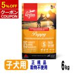 オリジンドッグフードパピー子犬用6...