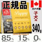 オリジン ドッグフード パピー 子犬用 340g お試し 正規代理店 正規品 販売店 無添加 人気 おすすめ