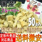 ドッグステーブル お