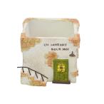  resin миниатюра pot a Pal to man зеленый дверь house 