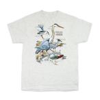 ショッピングリバティ リバティグラフィックス Field Guide To Herons S/S Tシャツ アッシュ Liberty Graphics メンズ レディース