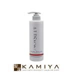 アルピジョン ALPSion イオンヘア&amp;フェイスクレンジングAX 490ml|全身シャンプー 全身ケア シャンプー 美容室専売 サロン専売品 シャンプー サロン