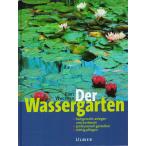 [ вся страна стоимость доставки 360 иен соответствует ] Der Wassergarten двор. водоросли [ ограничение 2 шт ]
