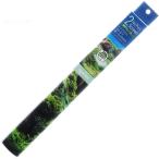 コトブキ 2ウェイフォトスクリーン 水草の森 60cm用バックスクリーン